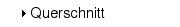 Querschnitt